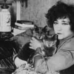 Did Colette the french famous writer loved cats?