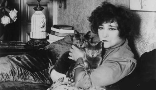 Did Colette the french famous writer loved cats?
